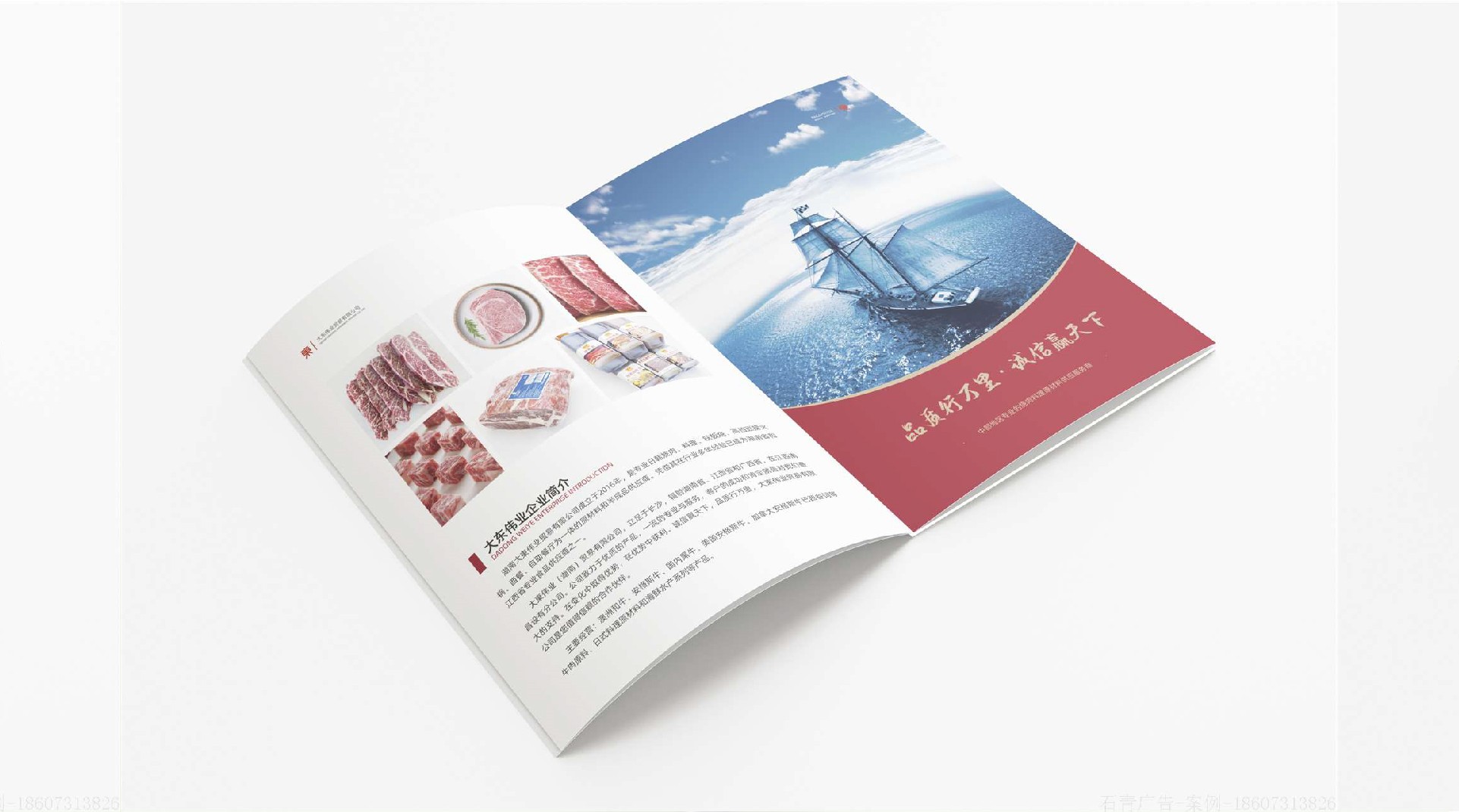 大東偉業產品畫冊設計-食品畫冊設計制作
